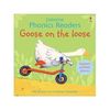 Goose on the Loose by Phil Roxbee Cox (Paperback)