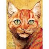 I am Cat by Jackie Morris (Hardback)
