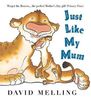 Just Like My Mum by David Melling (Paperback)