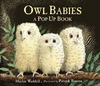 Owl Babies - Pop-Up by Martin Waddell (Hardback)