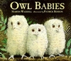 Owl Babies by Martin Waddell (Board book)