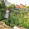 Arch Fence System