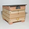 Beepol Bumblebee Lodge & Cabin With Voucher