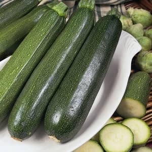 Courgette Green Bush (5 Plants) Organic