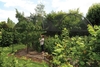 Dome Roof Steel Fruit Cage - Pineapple Finial