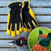 Gloves,  Secatuers And Tidy Bag