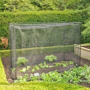 Harrod Stormproof (black 1.2m H) Frame Saver Vegetable Cage