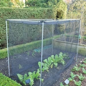 Harrod Stormproof (natural 1.5m H) Vegetable Cage
