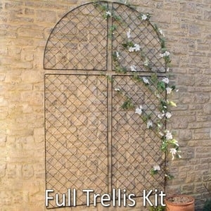 Harrod Wall Trellis Frames