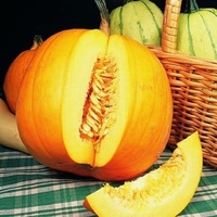 Pumpkins Jack O