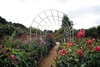 Roman Garden Pergolas In Silk Grey