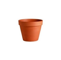 Small Terracotta Pots