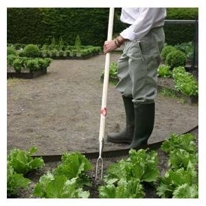 Sneeboer Two Pronged Weeder