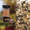 Special Bird Feeder & Food Offer
