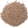 Sunflower Hearts
