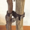 Super Soft Tree Ties