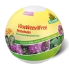 Vineweevilfree Nematodes