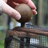 Vintage Vegetable Cage Sphere Finials