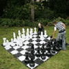 Giant Chess Pieces (Code 801)