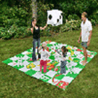Giant Snakes and Ladders (Code 507)
