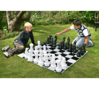 Standard Chess (Code 802)