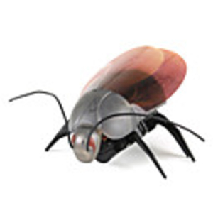 i-Robot Remote Control Fluorescent Beetle for iPhone,  iPad,  iPod (Random Model)