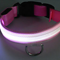 S-size Stylish Flashing Pet Collar(White)