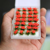 28 grappes de fleurs plate-forme de scène de végétation simulation de matériel modèle de pétale d