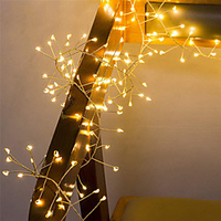 2m Guirlandes Lumineuses 100 LED 1pc Blanc Chaud La Saint-Valentin Noël Soirée Décorative Décoration de mariage de Noël Batteries alimentées