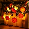 3m guirlandes lumineuses 20 LED 1 set blanc chaud Noël Nouvel An fête décorative vacances AA piles alimentées