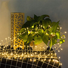 5m Guirlandes Lumineuses 200 LED 1pc Blanc Chaud La Saint-Valentin Noël Soirée Décorative Décoration de mariage de Noël 220-240 V miniinthebox