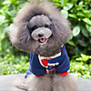 Élégant drapeau britannique style chaleureux pantalon à quatre pattes avec capuche pour Animaux Chiens (Assorted Sizes)