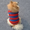 mignon chemise toisons de sangle chaud pour animaux chiens (de diverses tailles)