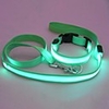 nuit de la mode flash LED colliers et laisses pour animaux chiens (taille assortis,  couleurs assorties)