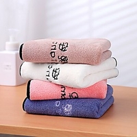 serviette absorbante épaissie serviette de toilette brodée douce pour le visage serviette sèche pour cheveux miniinthebox