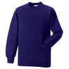 Kids Raglan Sleeve Sweatshirt Purple / 9-10