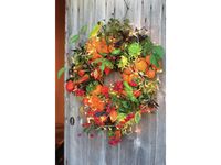 Make Your Own Wreath Kit (1 wreath kit)
