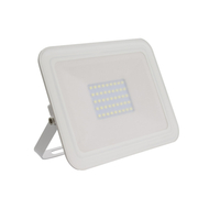 30W Cool White LED Floodlight 3000lm Glass IP65 - White