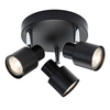 Capture 3 Light Spotlight Plate - Matt Black