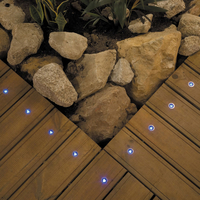 Carter Miniature LED Lights Set