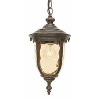 Cleveland Small Hanging Lantern