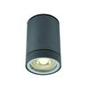 Cylinder Outdoor Flush Ceiling Light - Anthracite