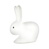 Dar Bunny Colour Changing LED Outdoor Feature Light