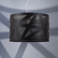 Edit Mesh Ceiling Pendant Light