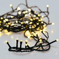 Edit Nardo String Lights - Black