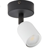 Edit Noir Ceiling Spotlight - Black & White