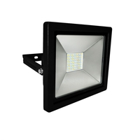 Eterna Slimline 30W Cool White LED Compact Floodlight