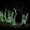 Everbright Solar Fairy Lights - White - 50 LED