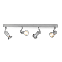 Forum Wolsey 4 Light Spotlight Plate - Silver