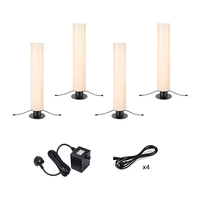 Garden 24V Cylinder 110 LED Outdoor Floor Lamp - 4 Lights